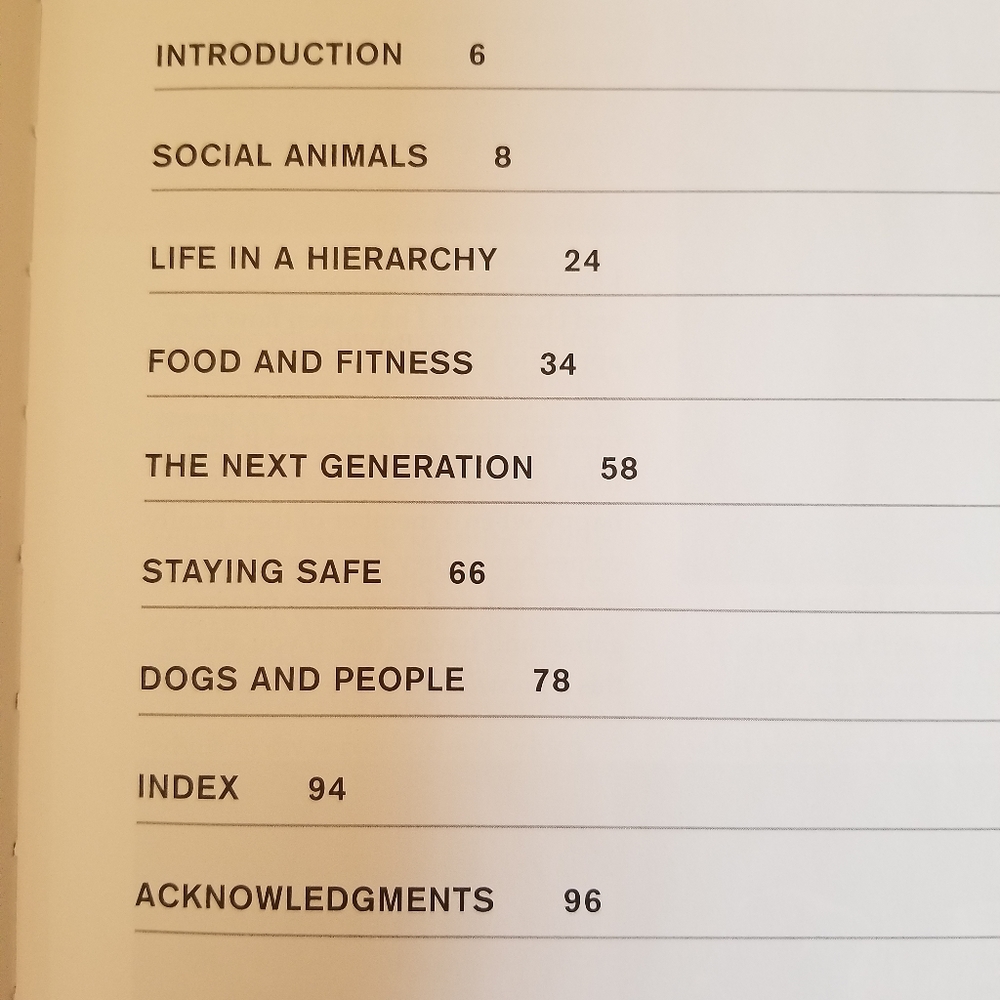 Dog Book - Picture 2 of 14